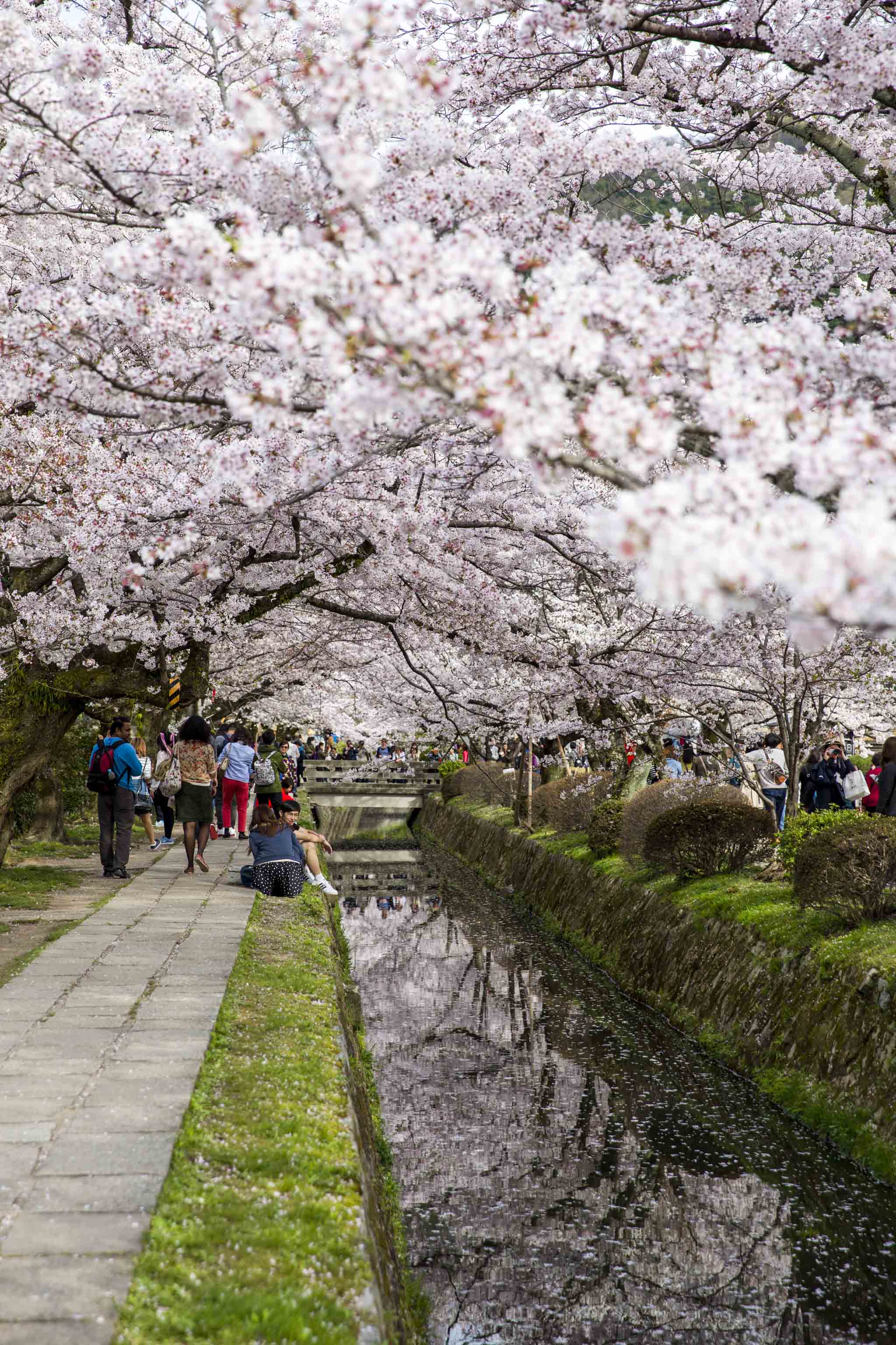 Shikarakawa sosui Dori, Kyoto