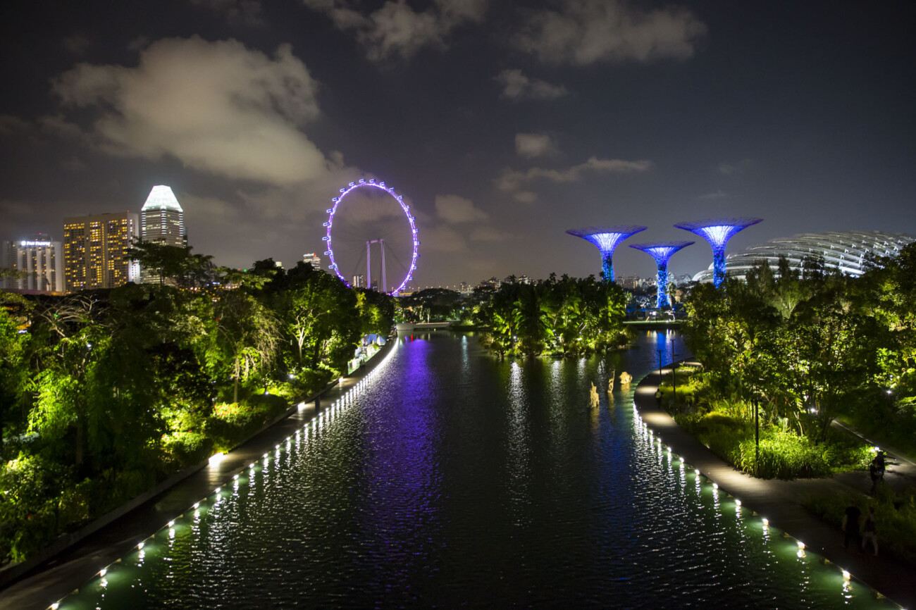 Gardens by the bay and the night, SIngapore