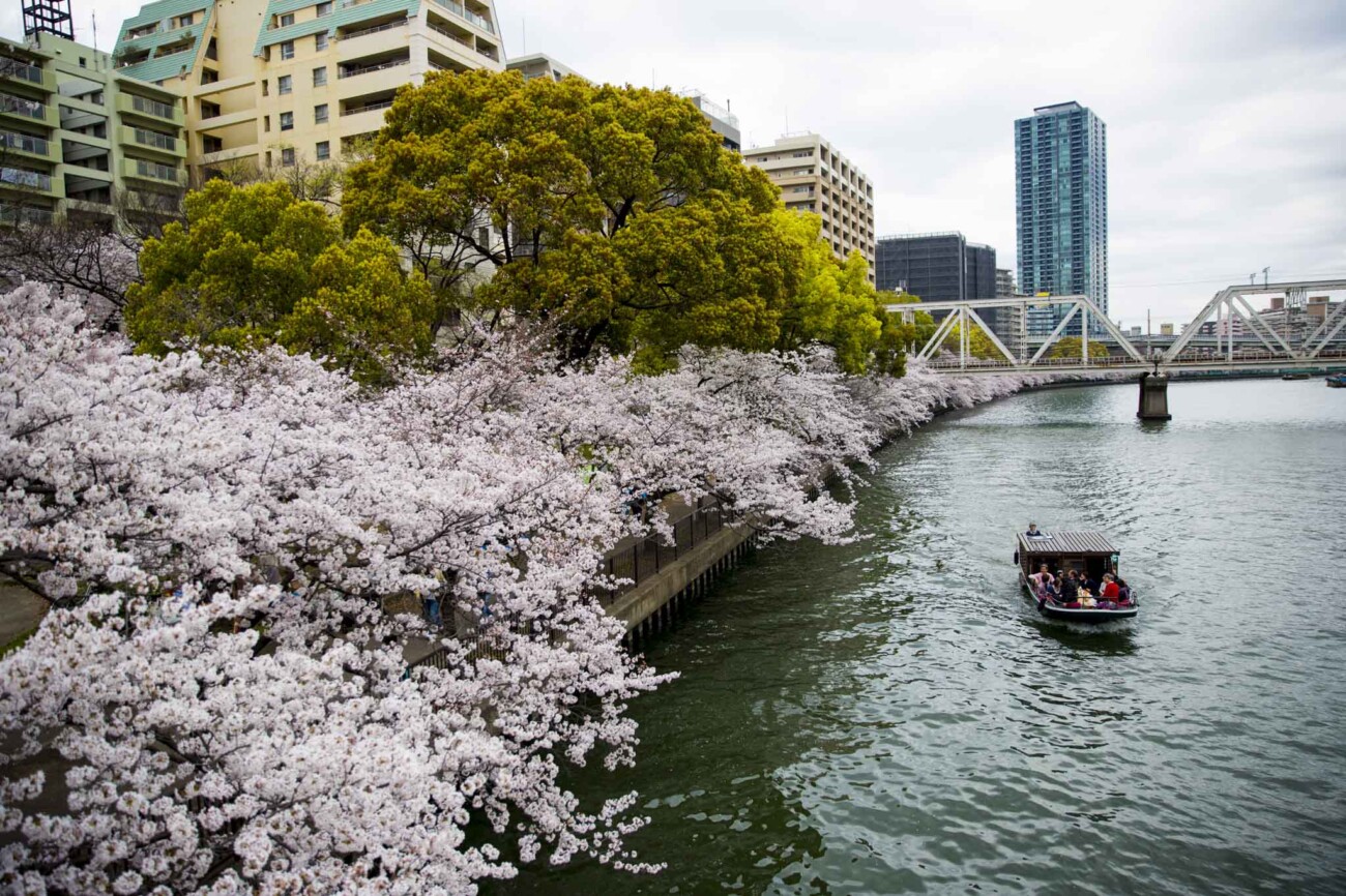 On the bridge near Sakuranomiya station, Osaka, Japan