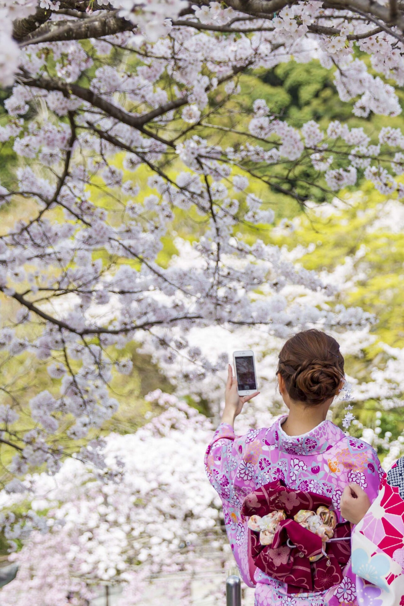A selfie with Sakura, at Kiyomizu-dera, Kyoto, Japan