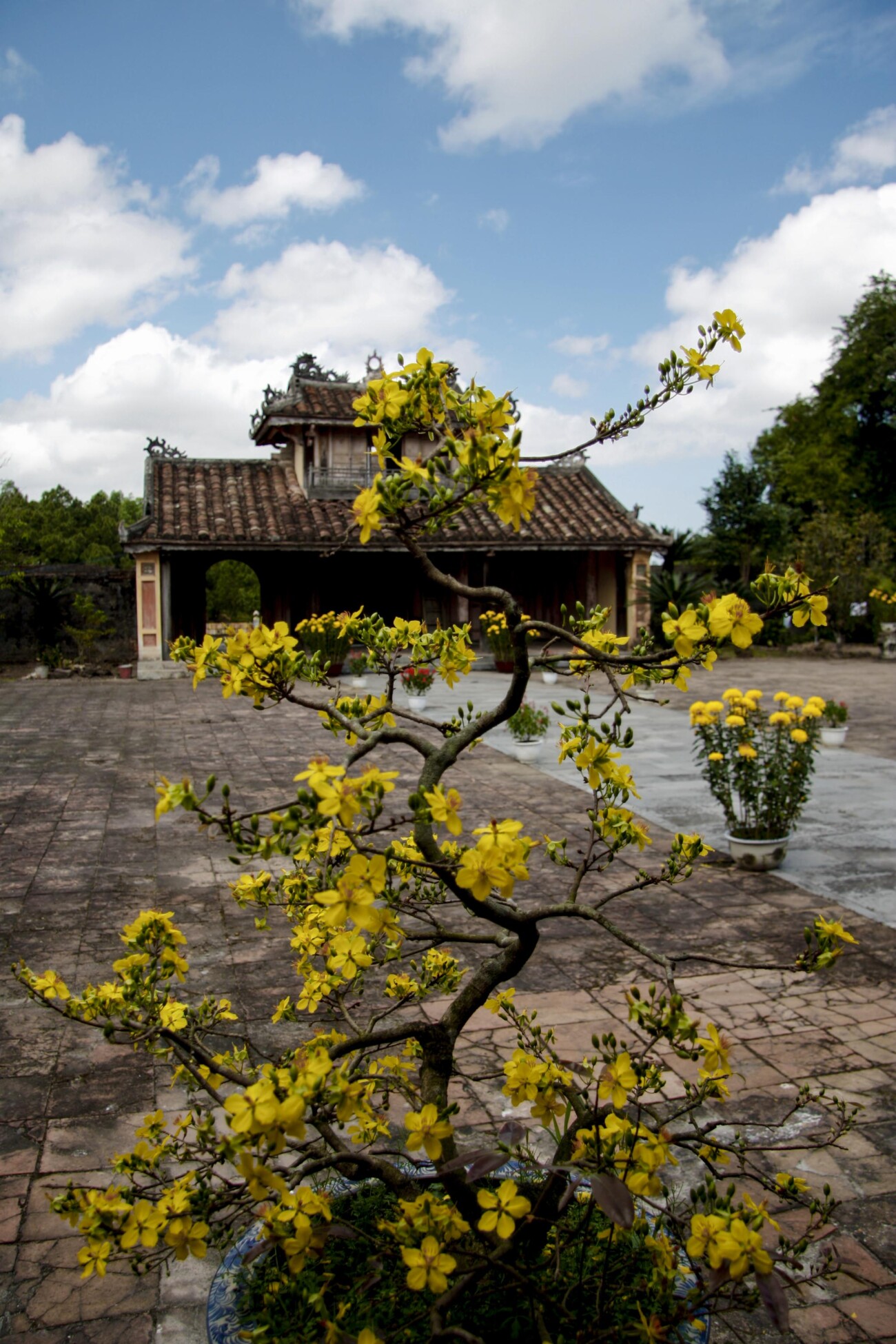 It was calm and cheerful stillness standing in the courtyard of Thieu Tri Tomb, Hue, Vietnam