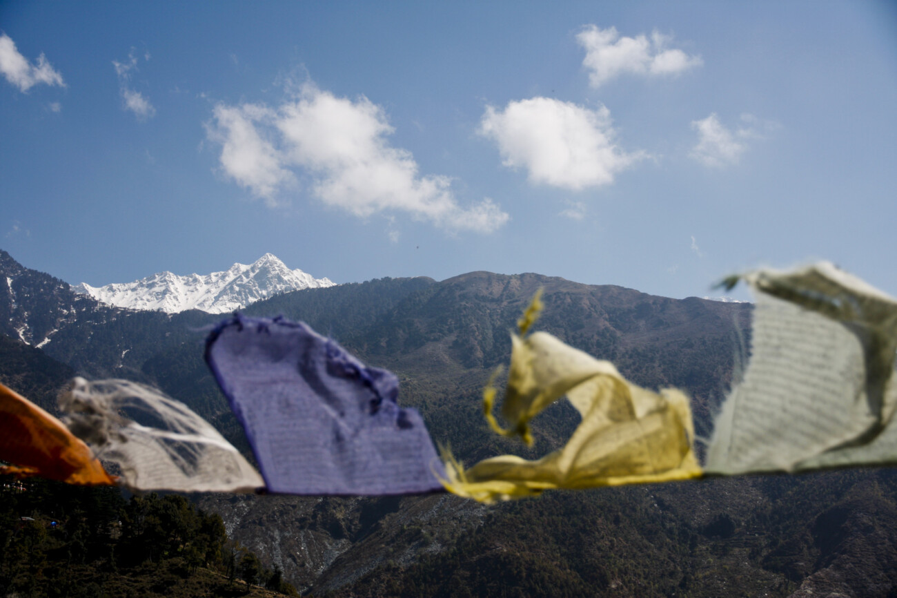 View of Triund and Prayer flags, Mcleod Ganj, Dharamshala, India