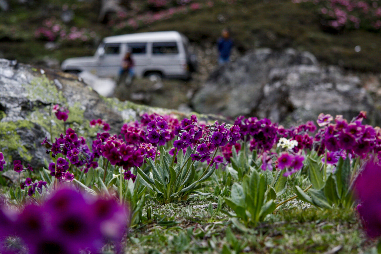 Lachung, Sikkim, India