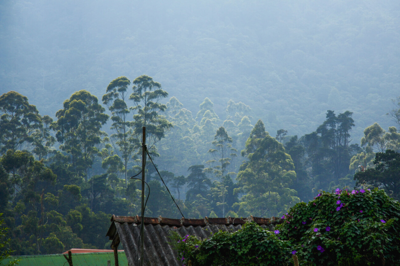 Nuwara Eliya, Srilanka
